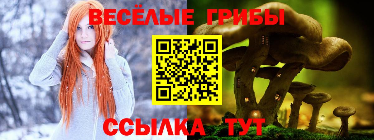 Красноуфимск  Галлюциногенные грибы Cubensis  Галлюциногенные грибы Cubensis  Вход с VPN 
